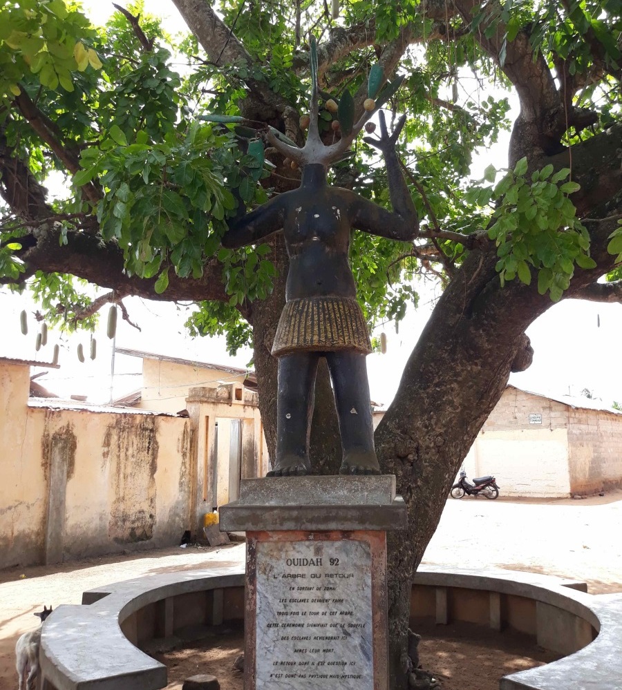 L’Arbre du Retour AYIFFA TOURISME