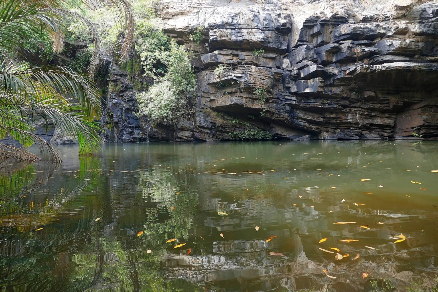 Haz una breve parada en la península de Avlo AYIFFA TOURISME